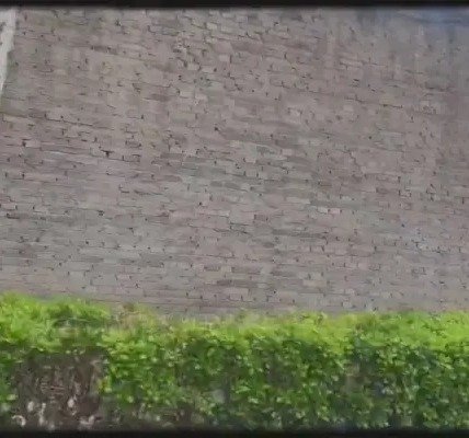 影视艺术ob娱乐app官方网站副院长