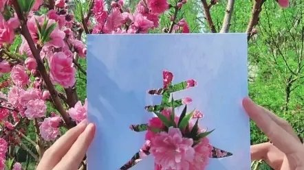 教师智惠炫一行深度参与系列活动